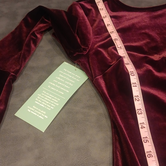 NWT. Johnny Wujek Chic Long Sleeve Velvet Dress in Plum/Deep Burgundy XS - Picture 11 of 14